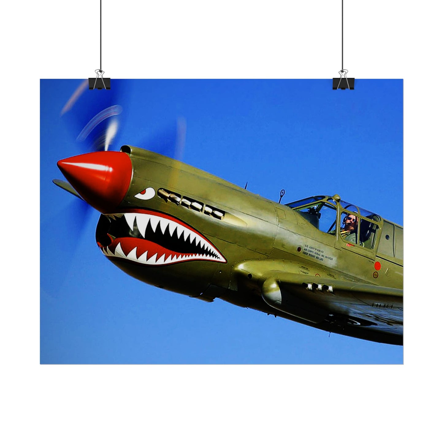 Curtiss P-40 Warhawk Rolled Poster