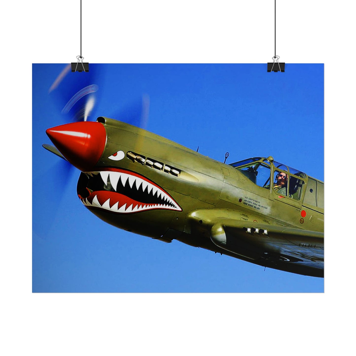 Curtiss P-40 Warhawk Rolled Poster