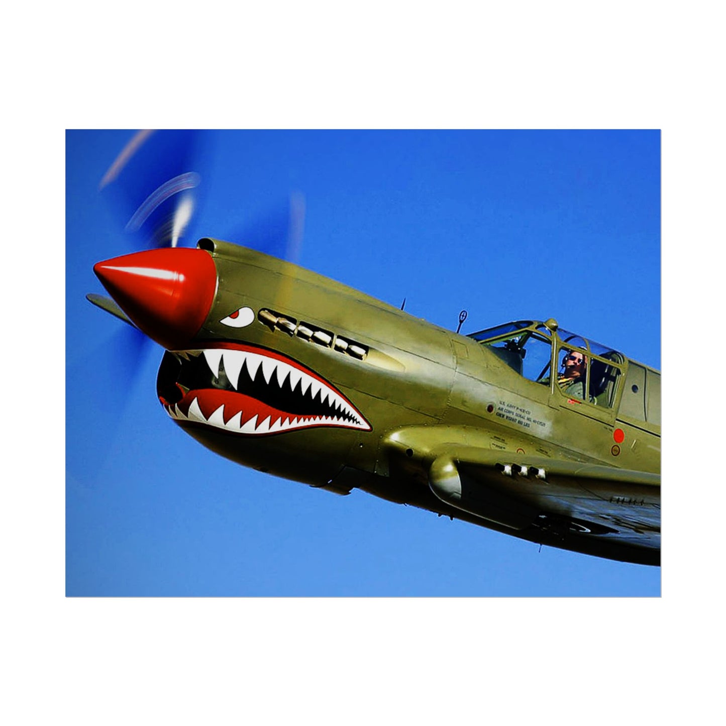 Curtiss P-40 Warhawk Rolled Poster