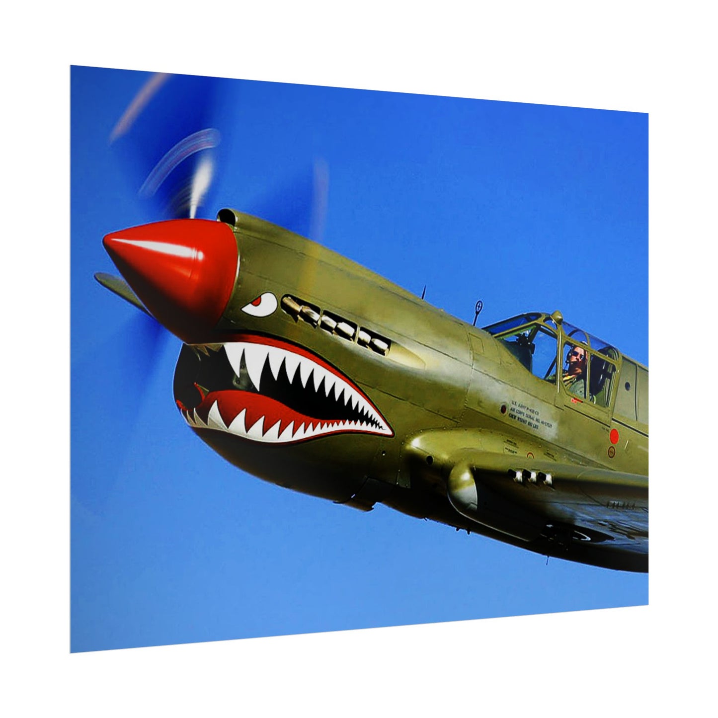 Curtiss P-40 Warhawk Rolled Poster