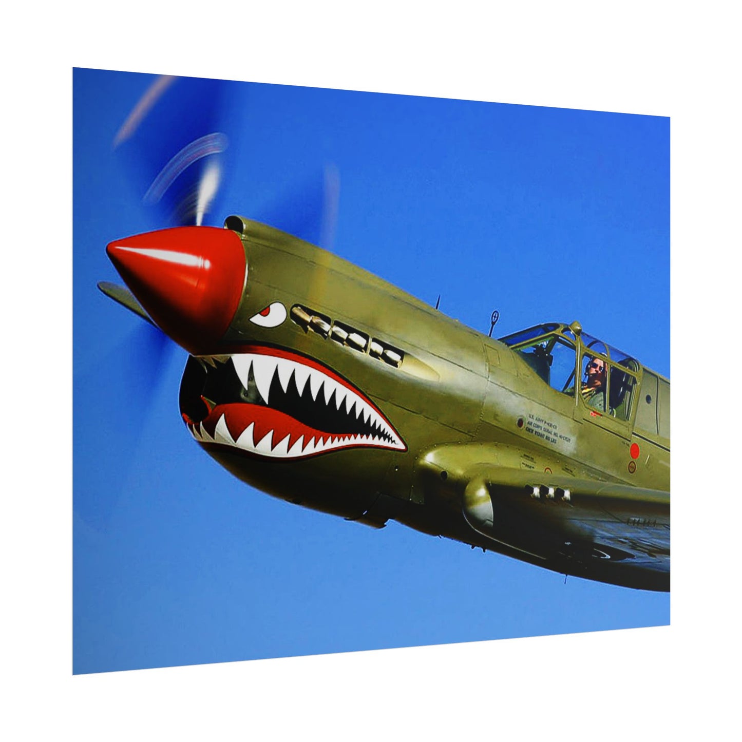 Curtiss P-40 Warhawk Rolled Poster